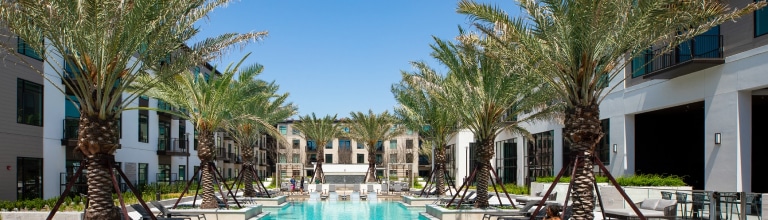 A pool area with several palm trees lining the sides. In the background are multi-story buildings with numerous windows and balcanies