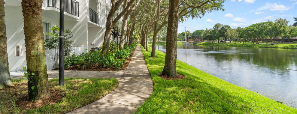 A landscape outdoors area with buildings and a paved walkway, several trees positioned alongside it. On the right is a body of water