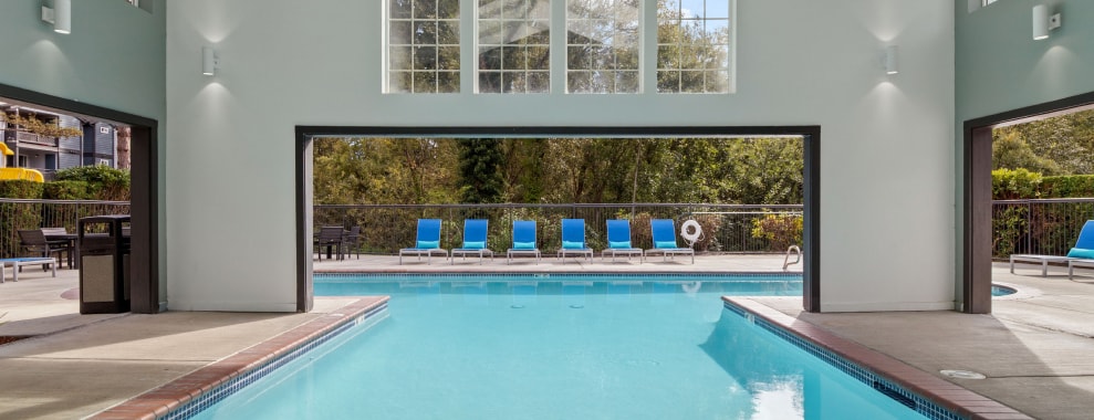 A swimming pool area with several blue lounge chairs lined up along the poolside